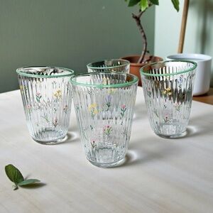 NWOB Rakle Botanical Floral Drinking Glasses Craft Cocktail Barware, Set of 4